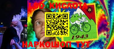 сатива Новодвинск