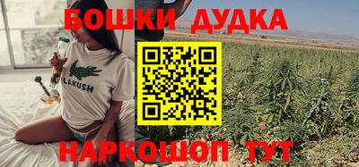 сатива Новодвинск
