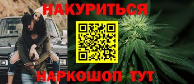 сатива Новодвинск