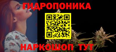 сатива Новодвинск