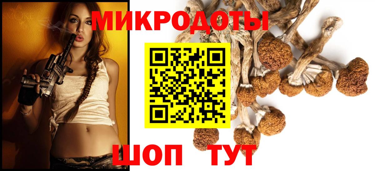 Галлюциногенные грибы Psilocybine cubensis Туймазы