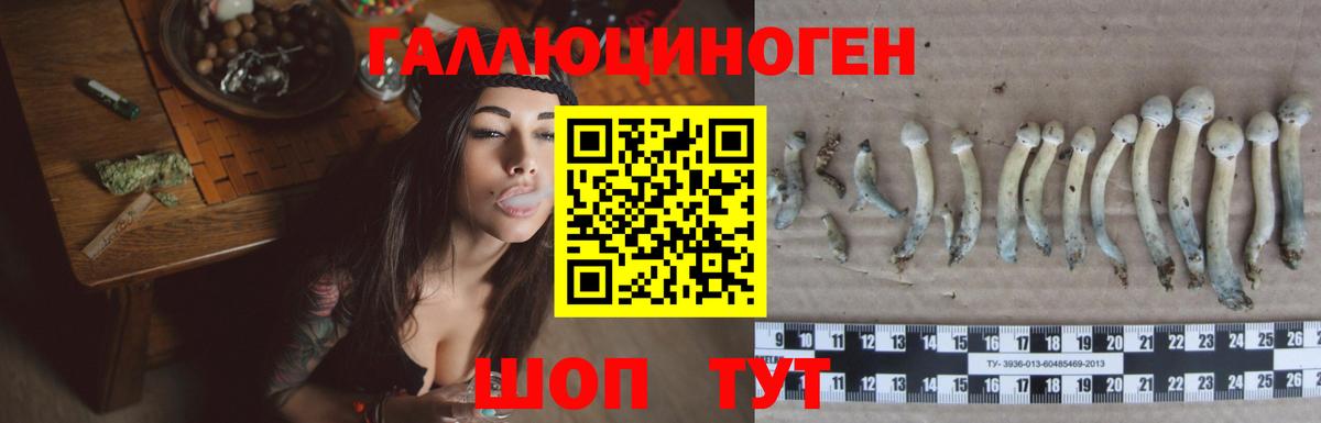 Галлюциногенные грибы мицелий  Вход с VPN  Туймазы 